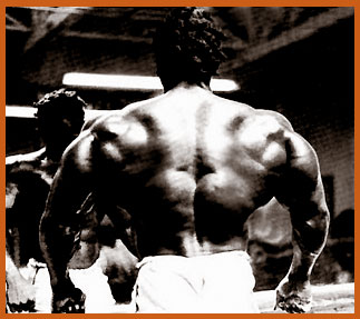 20 Best Backs Of All Time: Let The Countdown Begin - SimplyShredded.com