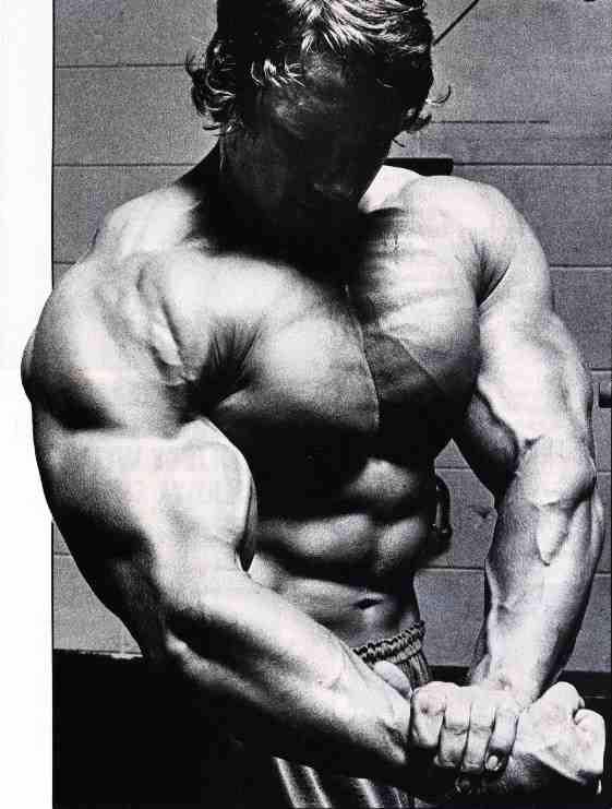 What are the 6 back and biceps Arnold Schwarzenegger does? - Quora