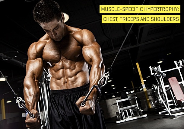 Muscle-Specific Hypertrophy: Chest, Triceps and Shoulders By Menno  Henselmans 